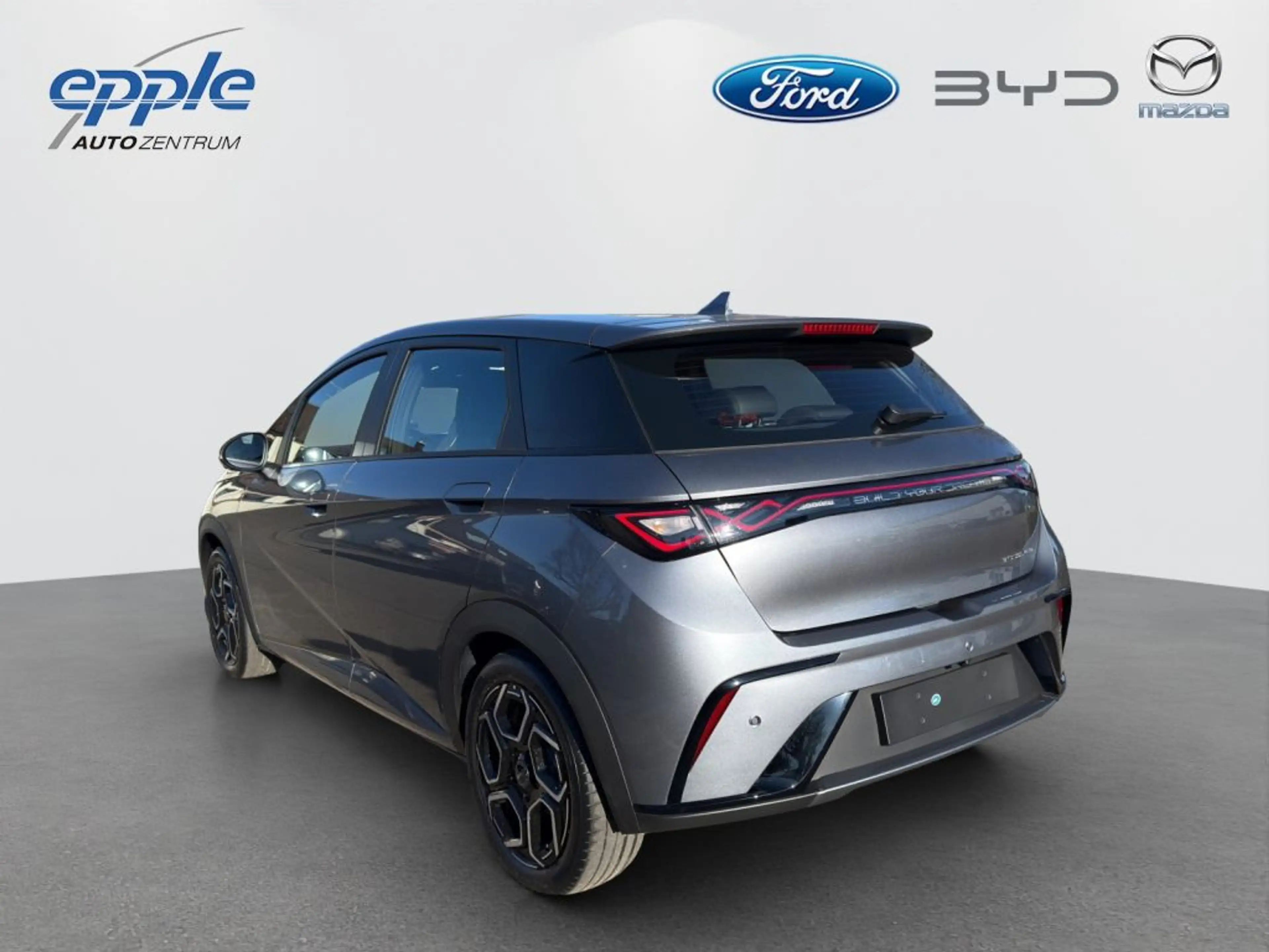 BYD Dolphin Comfort (EM2E) — photo 4