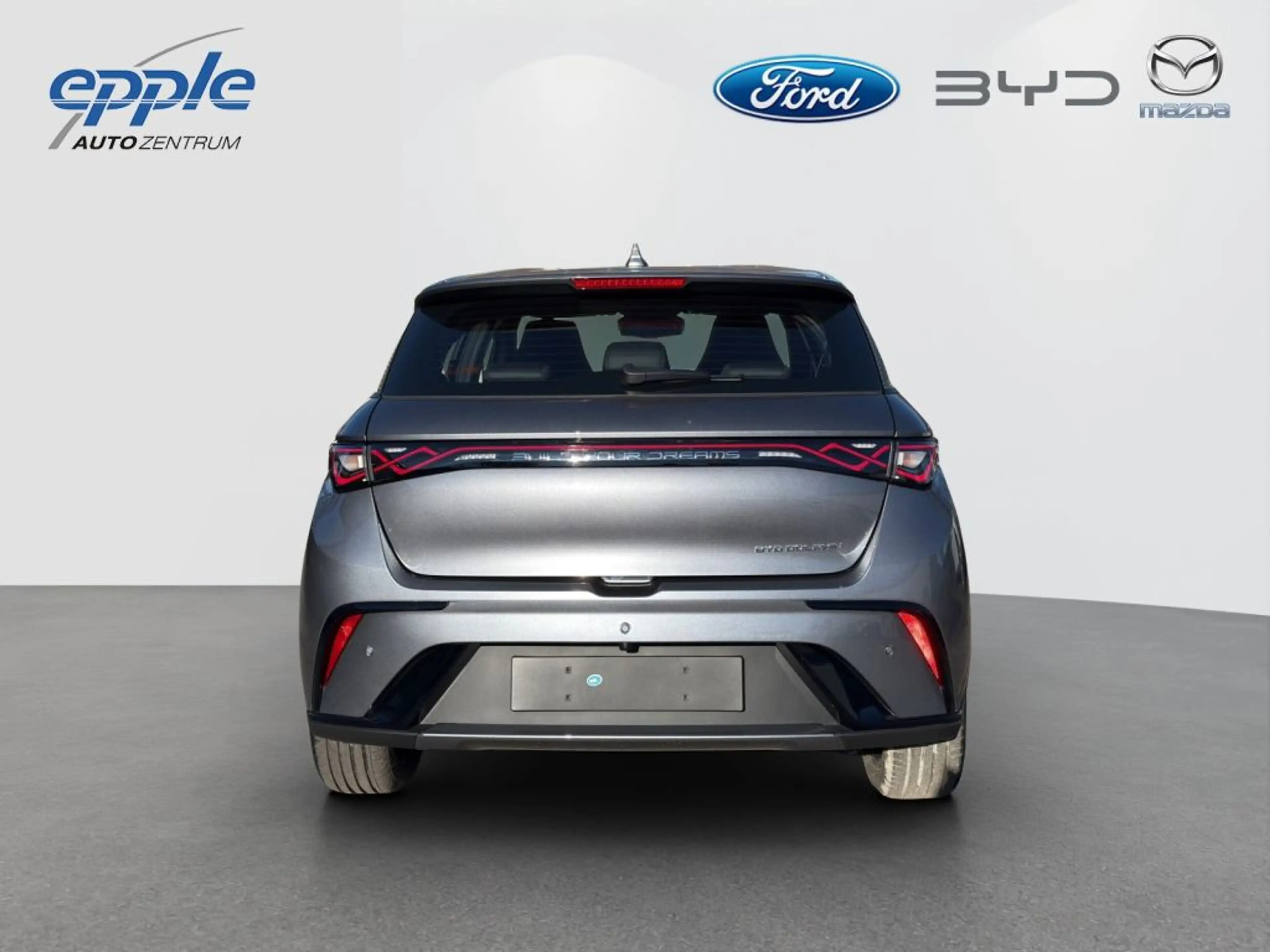BYD Dolphin Comfort (EM2E) — photo 5