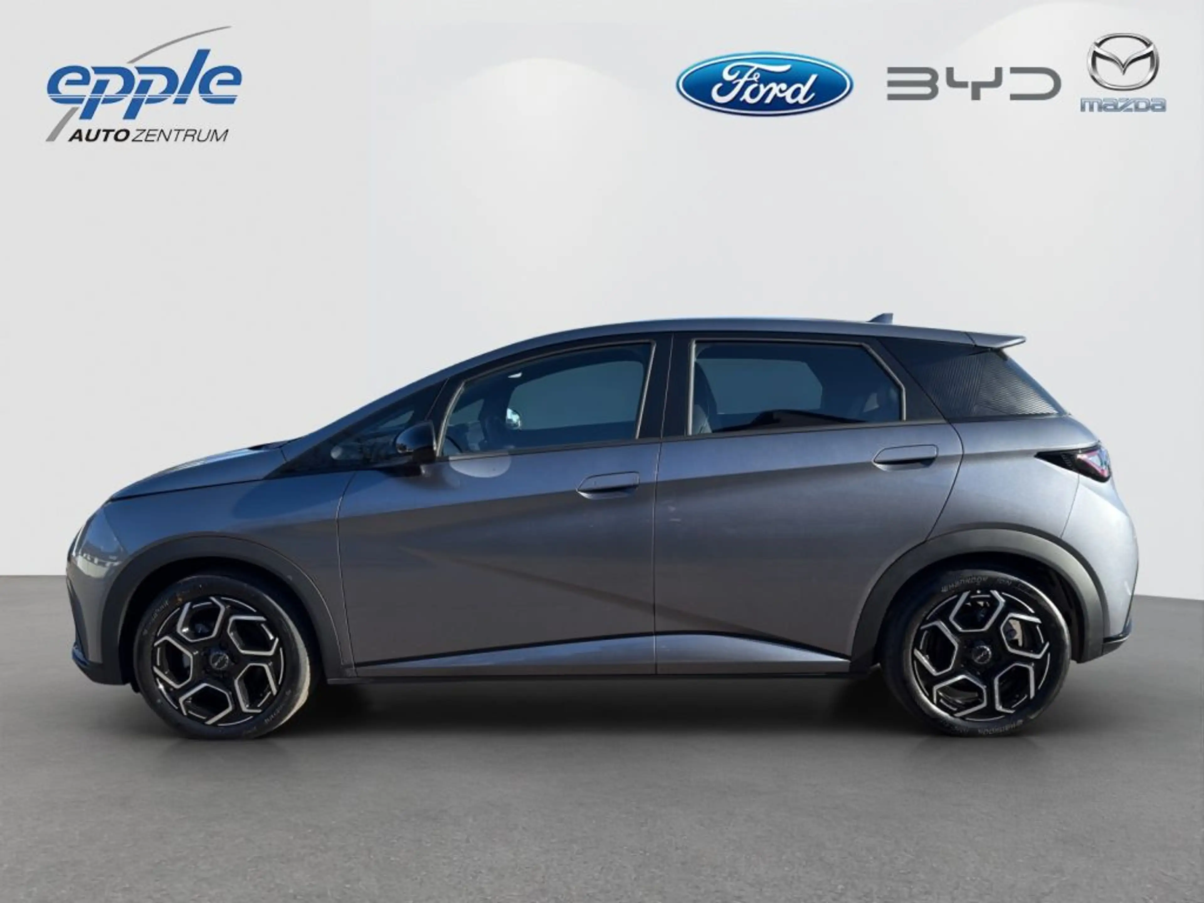 BYD Dolphin Comfort (EM2E) — photo 3