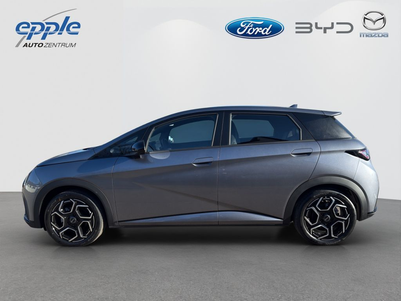 BYD Dolphin Comfort (EM2E) — photo 3