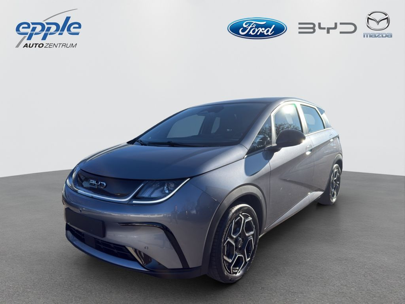 BYD Dolphin Comfort (EM2E)