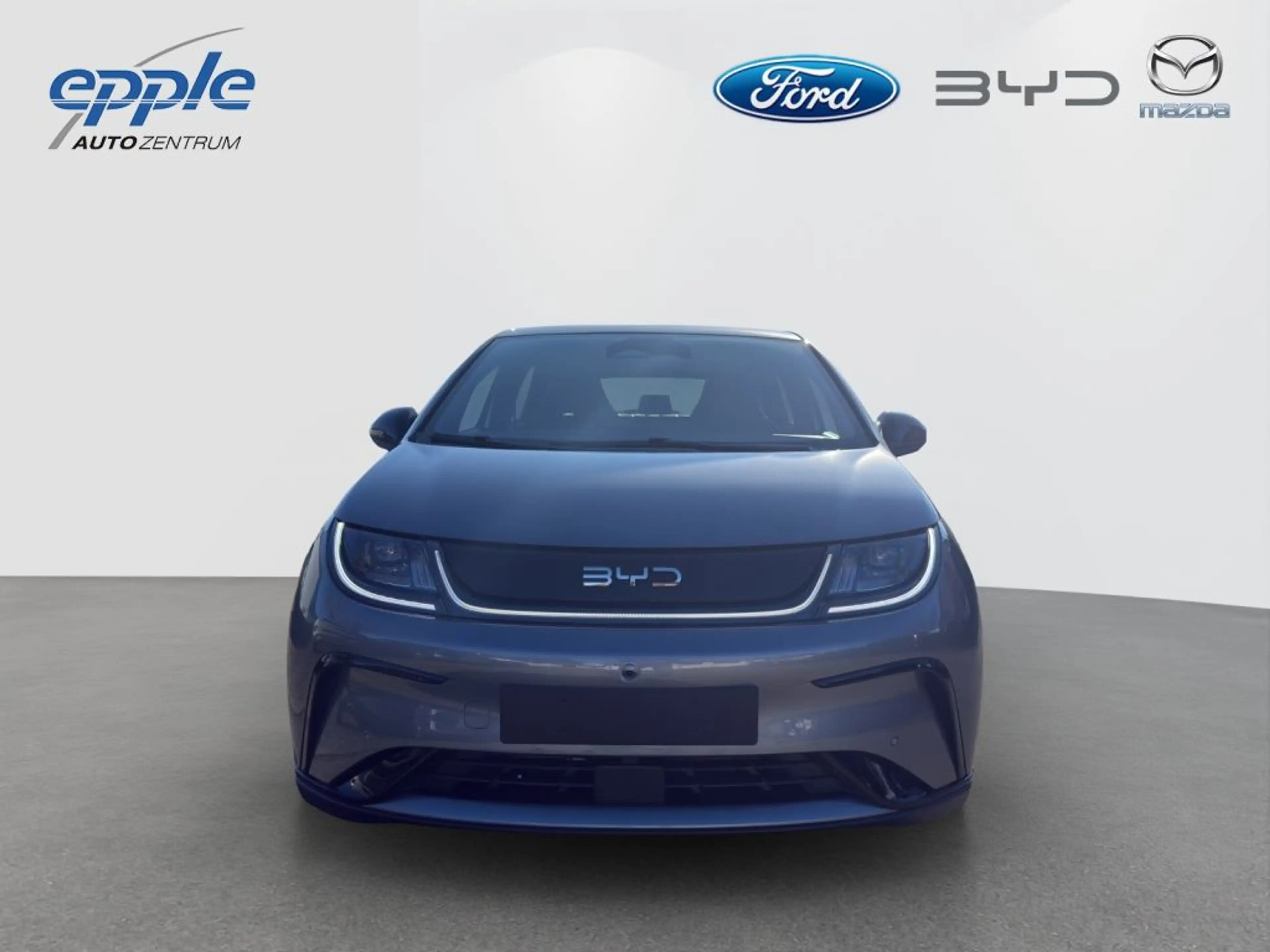 BYD Dolphin Comfort (EM2E) — photo 2