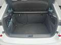 Skoda Kamiq 1.5 TSI DSG Monte Carlo Pano ACC KAMERA LE Weiß - thumbnail 19