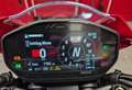 Ducati Monster 937 SP Grigio - thumbnail 2