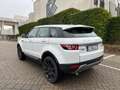 Land Rover Range Rover Evoque eD4 Prestige Blanc - thumbnail 6