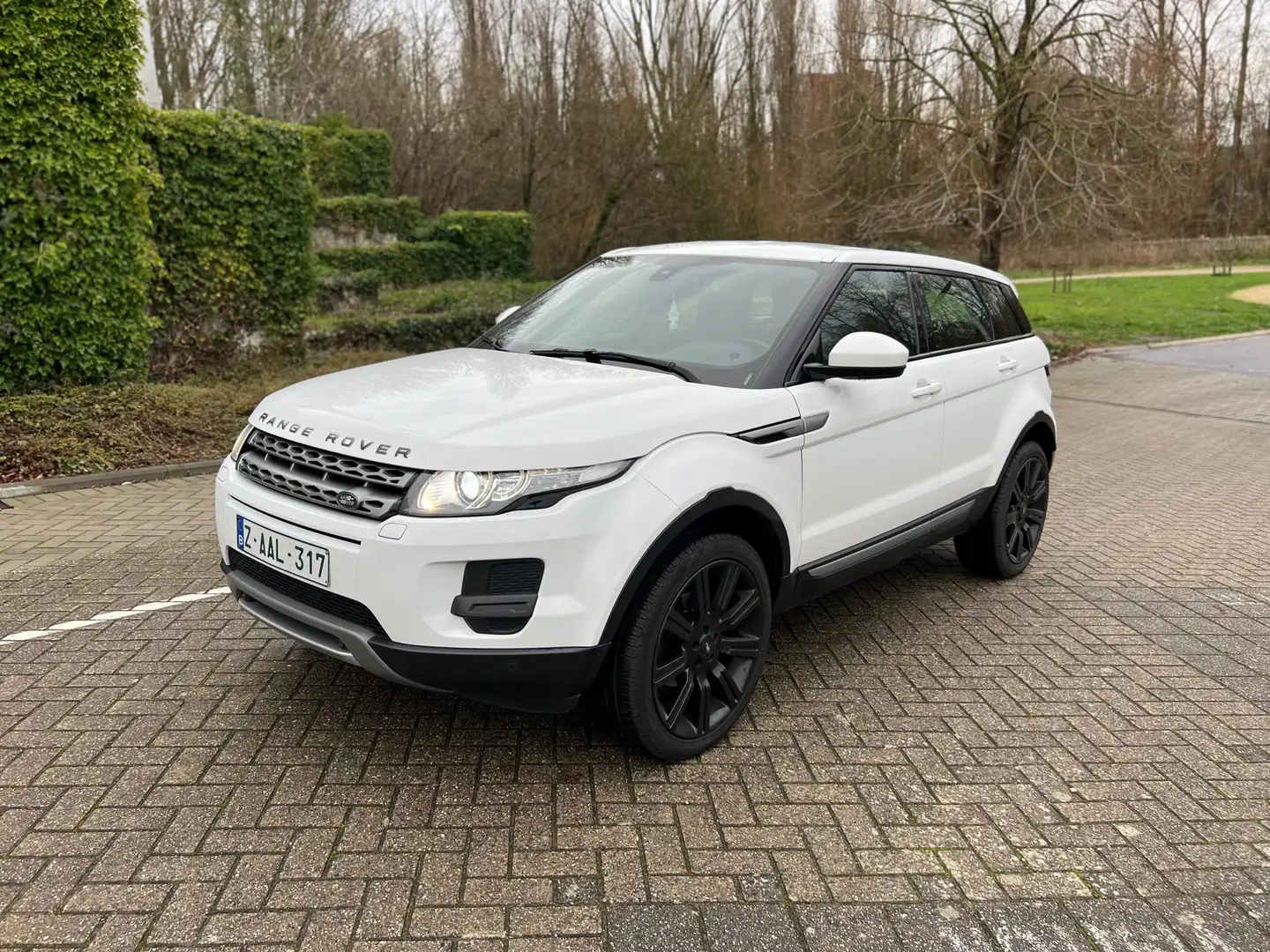 Land Rover Range Rover Evoque eD4 Prestige Blanc - 1