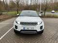 Land Rover Range Rover Evoque eD4 Prestige Blanc - thumbnail 2