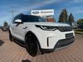 Land Rover Discovery 5 SE D250 AWD*LED*Schiebedach*Luftfed. Weiß - thumbnail 1