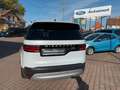 Land Rover Discovery 5 SE D250 AWD*LED*Schiebedach*Luftfed. Weiß - thumbnail 7