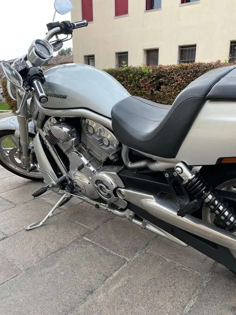 Harley-Davidson V-Rod Zilver - 1