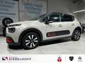 Citroen C3 Shine PureTech 110 EAT6 Бежевий - thumbnail 1