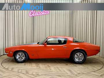 LT 350CU *Split Bumper* Leder, Camel Hump + Limite