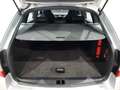 Skoda Octavia Combi 1,6 TDI Ambition Limited *3 Jahre Garantie Silber - thumbnail 30