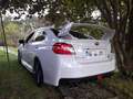 Subaru WRX WRX STI 2.5 Sedán Rally Edition Rally Edition Blanc - thumbnail 10