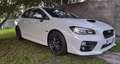 Subaru WRX WRX STI 2.5 Sedán Rally Edition Rally Edition Blanc - thumbnail 5