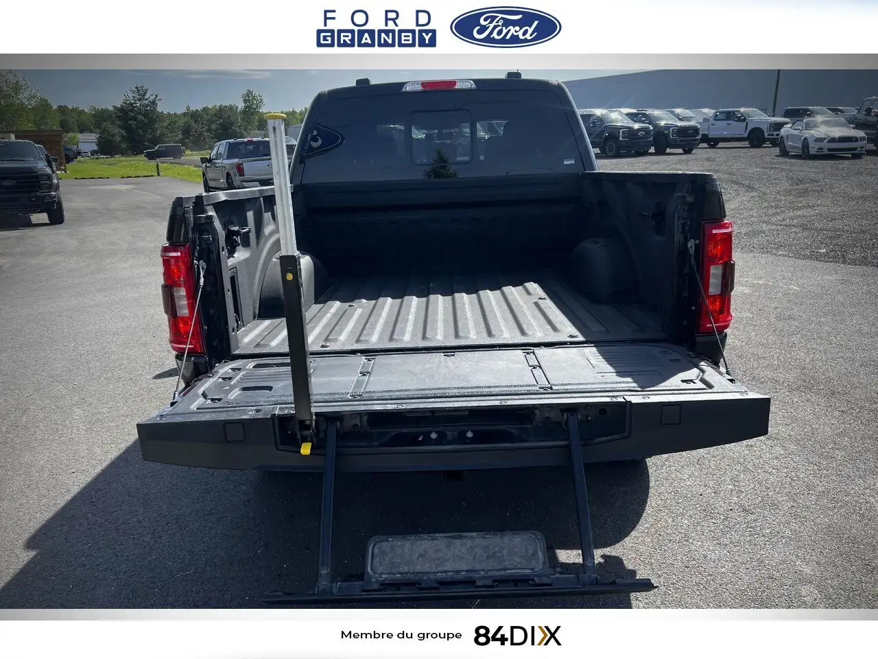 Ford F 150 fotografie Ford F 150