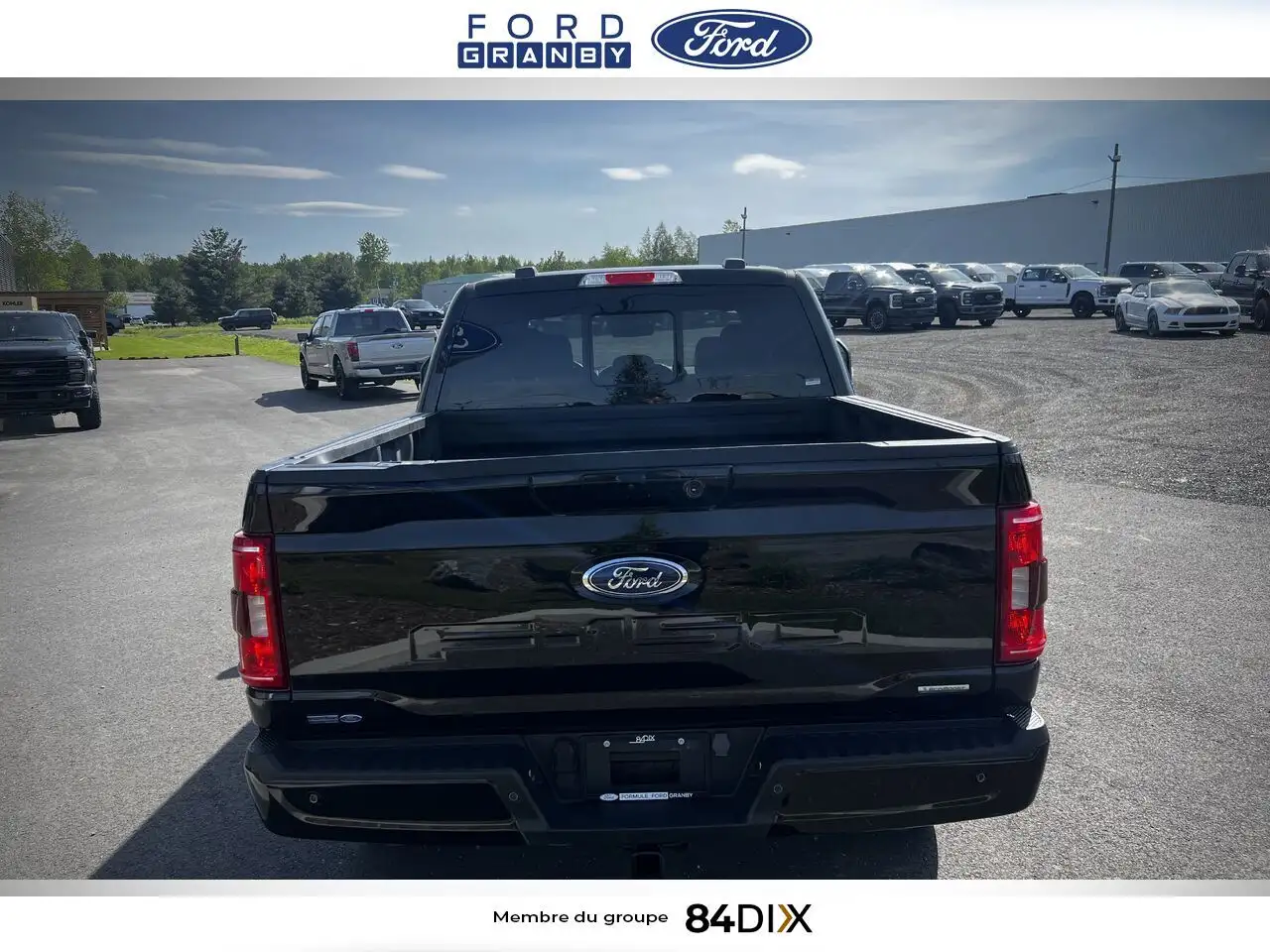 Ford F 150 fotografie Ford F 150