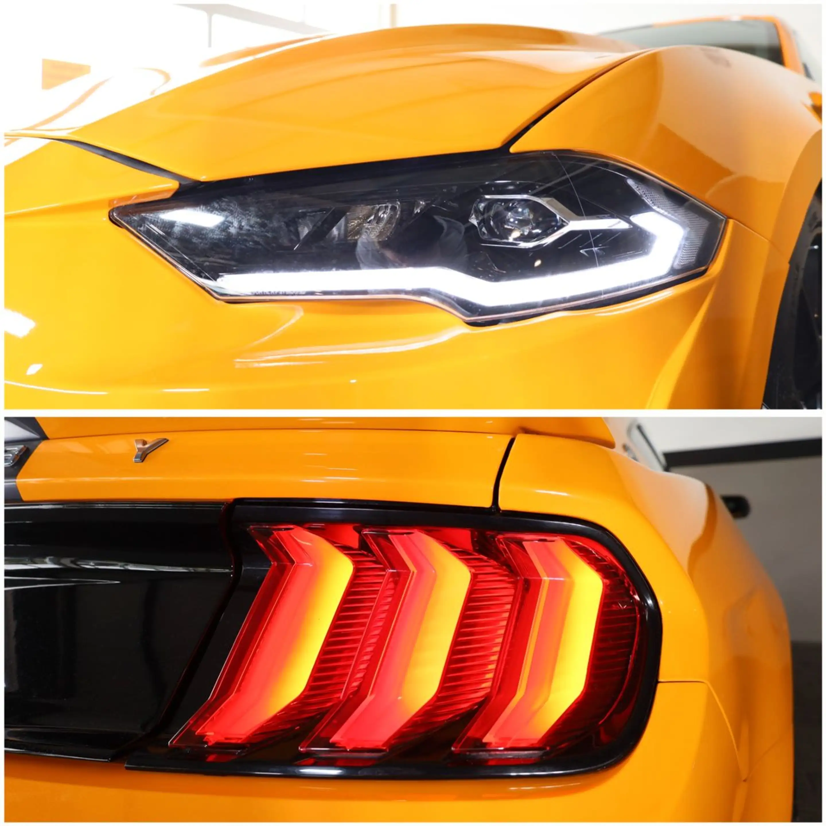 Ford Mustang 5.0 V8 Shelby GT/LHZ/TOTW/RFK/LED/R20 — photo 6