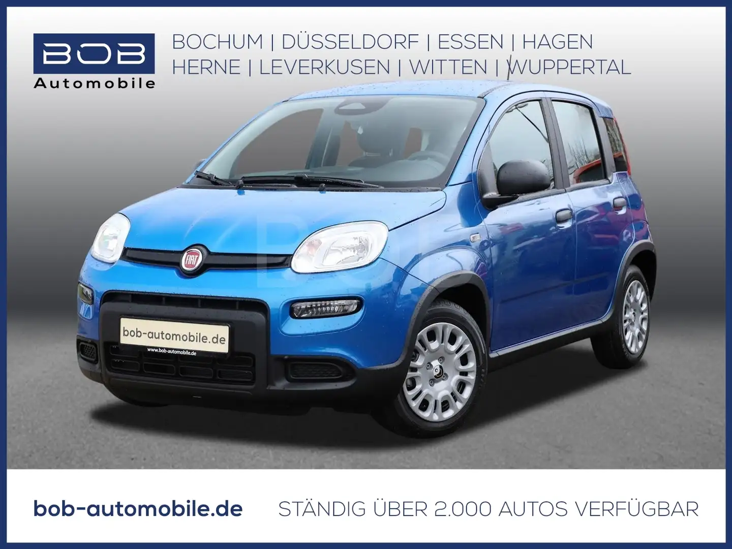 Fiat Panda 1.0 Mild Hybrid Pandina PDC KLIMA BT ZV Blau - 1