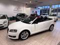 Audi A3 A3 II 2008 Cabriolet Cabrio 1.6 tdi Ambition Blanc - thumbnail 4