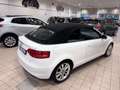 Audi A3 A3 II 2008 Cabriolet Cabrio 1.6 tdi Ambition Blanc - thumbnail 14