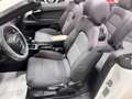 Audi A3 A3 II 2008 Cabriolet Cabrio 1.6 tdi Ambition Blanc - thumbnail 20