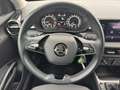 Skoda Fabia 1.0 Ambition LED*SHZ*PDC Klima Einparkhilfe Gris - thumbnail 14