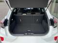 Ford Puma 1.0 EcoBoost mHEV ST-Line - 125 PK | GPS + LED | Blanc - thumbnail 15