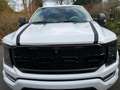 Ford F 150 FORD F-150 STX V8 5L Supercrew 5,5", Prins LPG Weiß - thumbnail 39