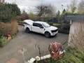 Ford F 150 FORD F-150 STX V8 5L Supercrew 5,5", Prins LPG Weiß - thumbnail 10