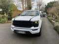 Ford F 150 FORD F-150 STX V8 5L Supercrew 5,5", Prins LPG Weiß - thumbnail 4