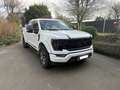 Ford F 150 FORD F-150 STX V8 5L Supercrew 5,5", Prins LPG Weiß - thumbnail 8