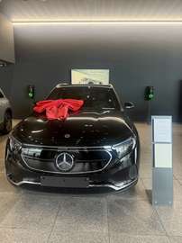 66.5 kWh 250 Luxury Line