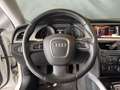 Audi A5 A5 Sportback 2.0 tdi 143cv multitronic Bianco - thumbnail 11