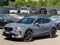 CUPRA Formentor 1.4 e-Hybrid VZ Performance 245pk Pano Adapt-Cruis Gris - thumbnail 8
