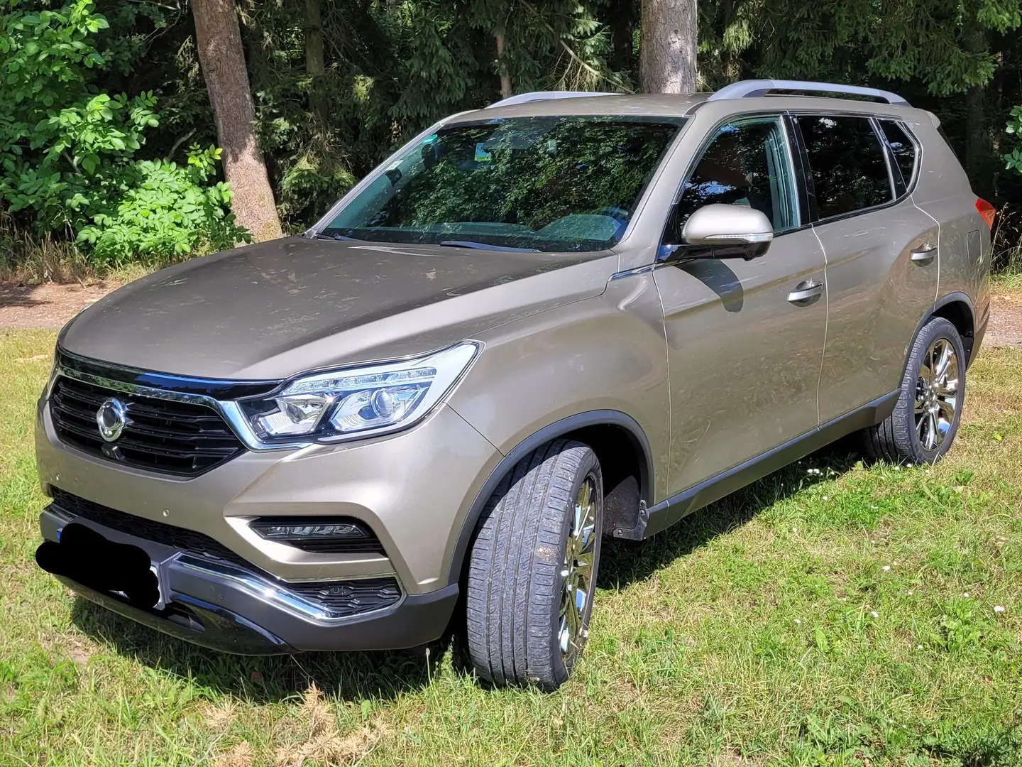 KGM Rexton Бежевый - 1
