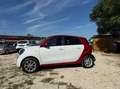 smart forFour forfour 70 1.0 twinamic Prime Blanc - thumbnail 4