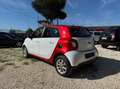 smart forFour forfour 70 1.0 twinamic Prime Blanc - thumbnail 5