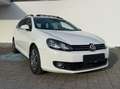 Volkswagen Golf Variant Golf Variant Highline 1,6 TDI 4Motion DPF Highline Weiß - thumbnail 2