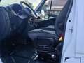 Iveco Daily 35c180 Bianco - thumbnail 5