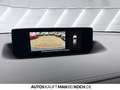 Mazda MX-30 e-SKYACTIV R-EV AD'VANTAGE IV HUD MATRIX! Schwarz - thumbnail 21