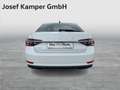 Skoda Superb Style TDI DSG Weiß - thumbnail 4
