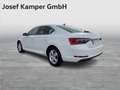Skoda Superb Style TDI DSG Weiß - thumbnail 3