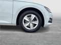 Skoda Superb Style TDI DSG Weiß - thumbnail 6
