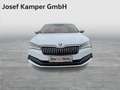 Skoda Superb Style TDI DSG Weiß - thumbnail 7