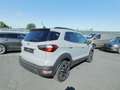 Ford EcoSport Active Grau - thumbnail 4