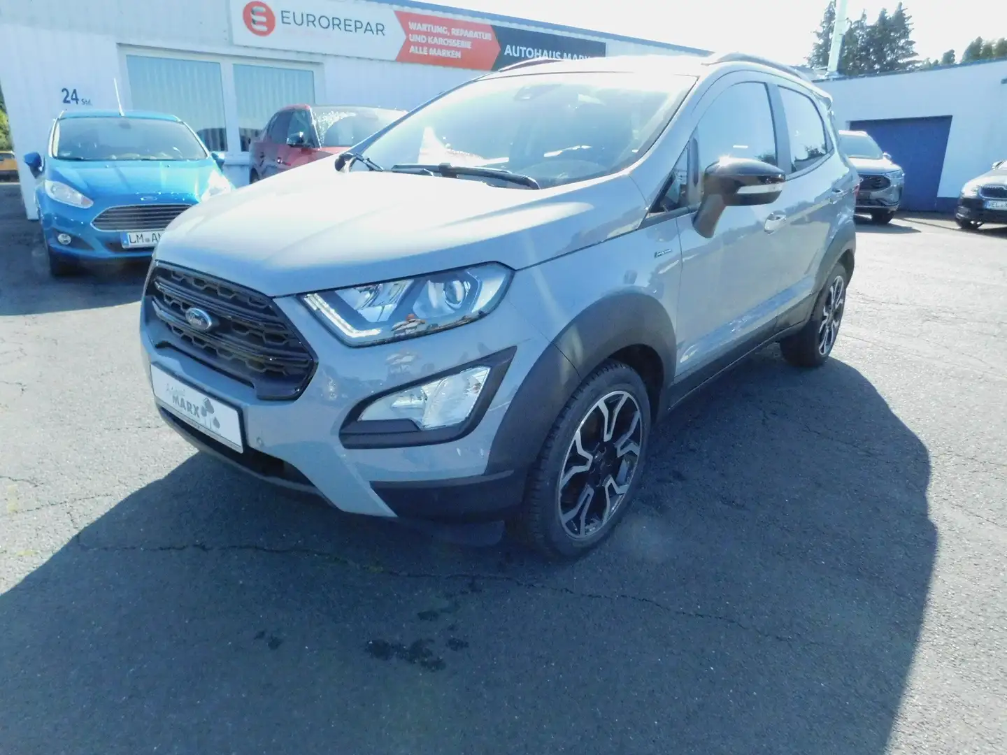 Ford EcoSport Active Grau - 1