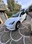 Tesla Model Y KW 350 75 kWh dual motor long autopilot - thumbnail 3