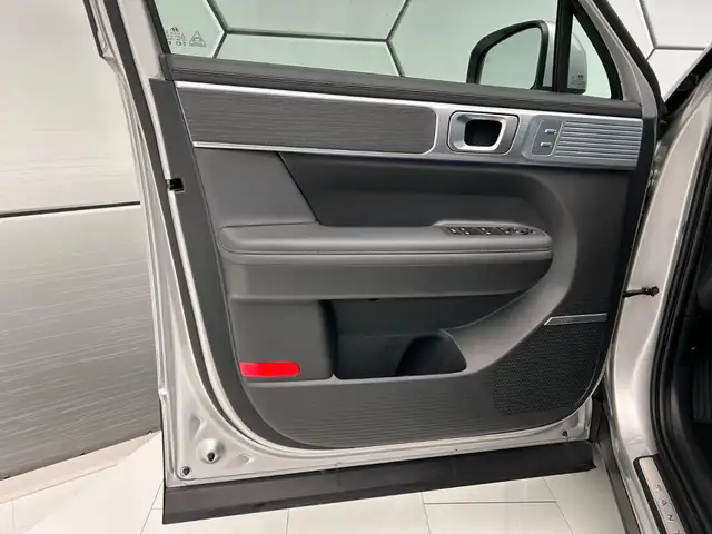 Hyundai Santa FE view 14