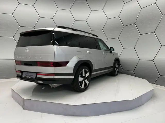 Hyundai Santa FE view 6